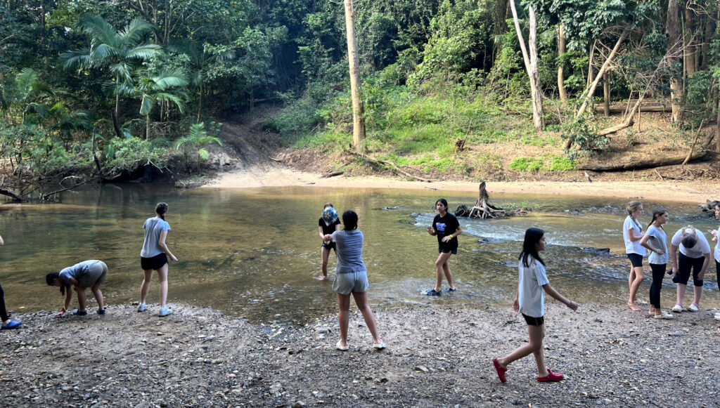 Kambala Post Duke of Ed The impact 4